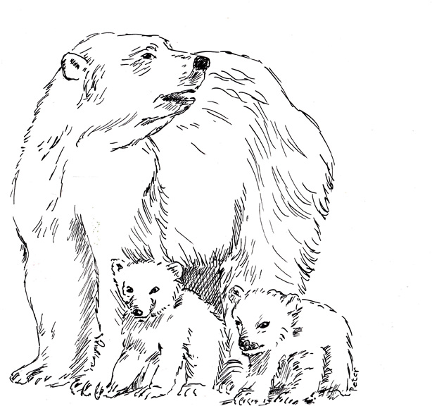 Polar Bear and her cubs by Glandarius